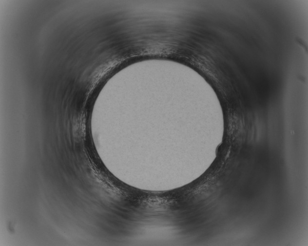 X0000101990632200807181149