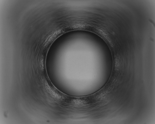 X0000101990633200807181149