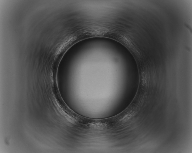 X0000101990634200807181149