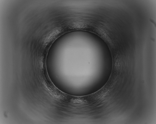 X0000101990635200807181149
