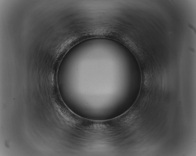 X0000101990636200807181149