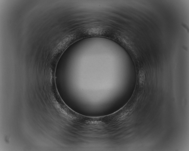 X0000101990637200807181149