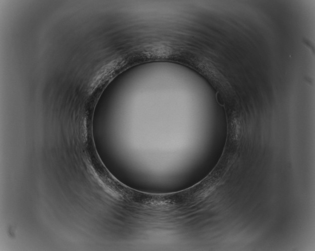 X0000101990638200807181149