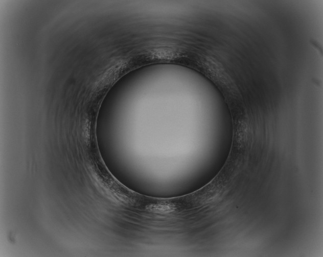 X0000101990639200807181149
