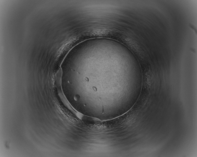 X0000101990640200807181149