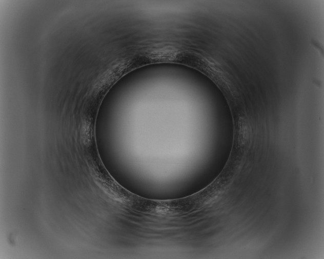 X0000101990641200807181149