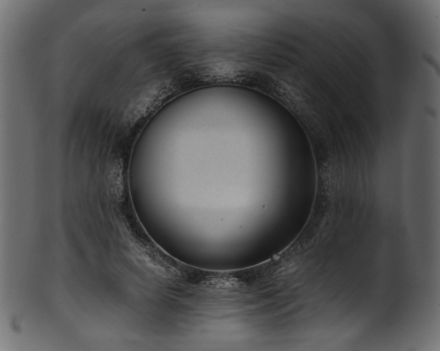 X0000101990642200807181149