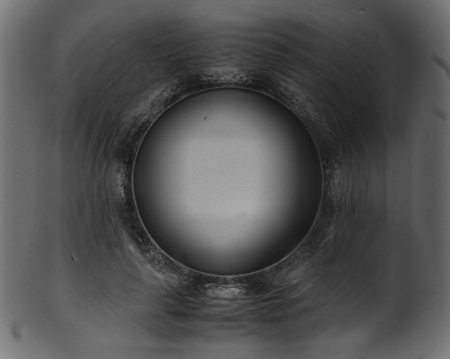 X0000101990643200807181149
