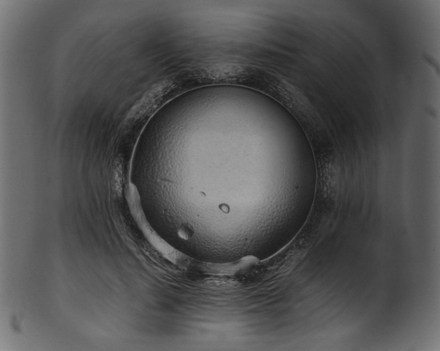 X0000101990644200807181149