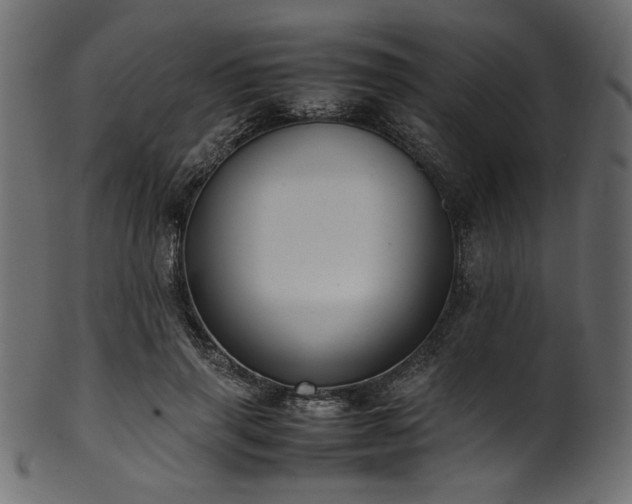 X0000101990645200807181149