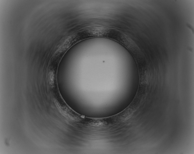 X0000101990646200807181149