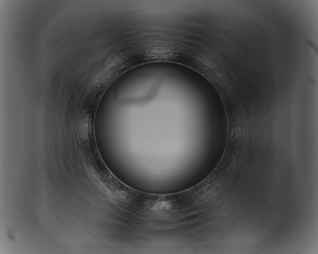 X0000101990647200807181149