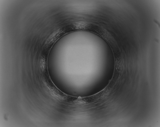 X0000101990648200807181149