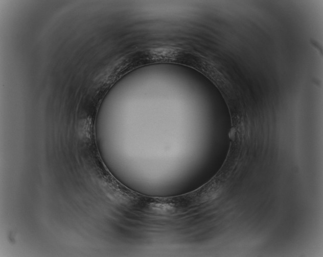 X0000101990649200807181149