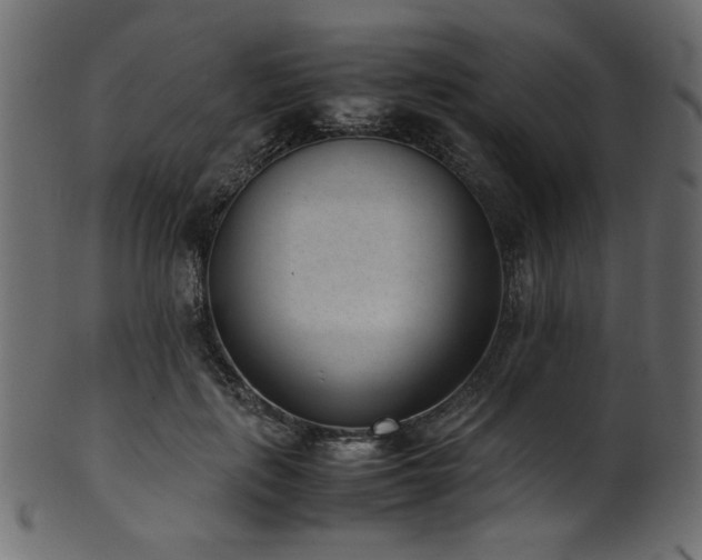 X0000101990651200807181149