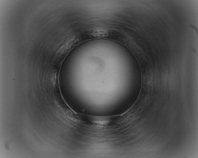 X0000101990652200807181149