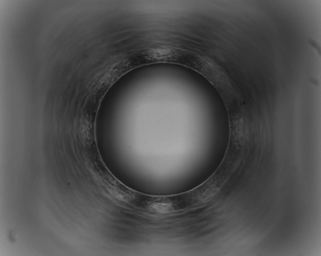 X0000101990653200807181149