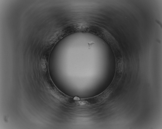 X0000101990654200807181149