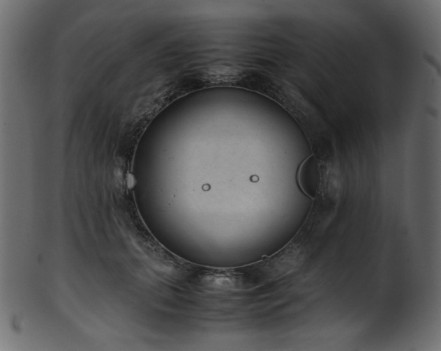 X0000101990655200807181149