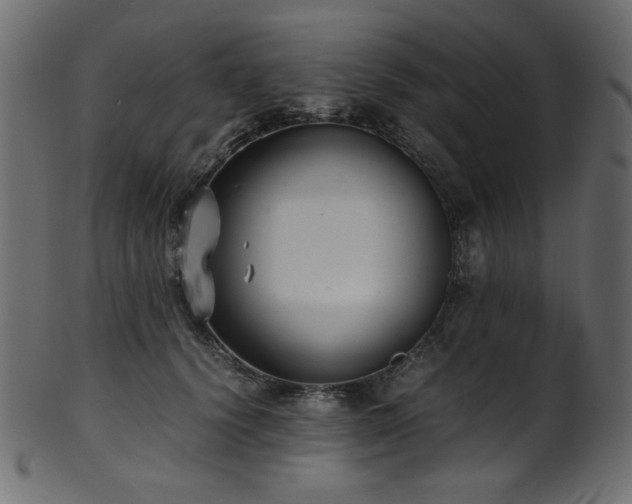 X0000101990656200807181149