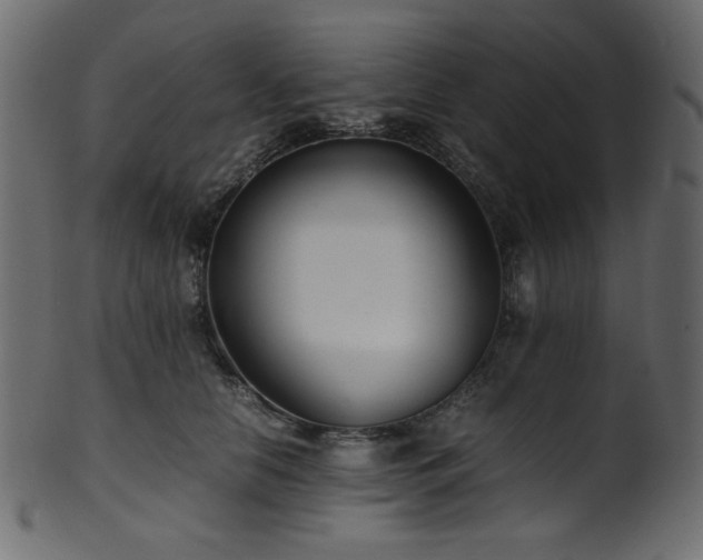 X0000101990658200807181149