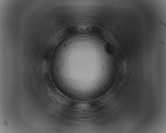X0000101990659200807181149
