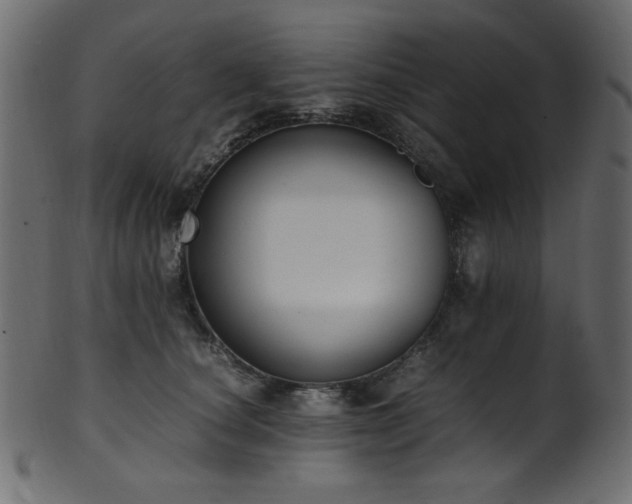 X0000101990660200807181149