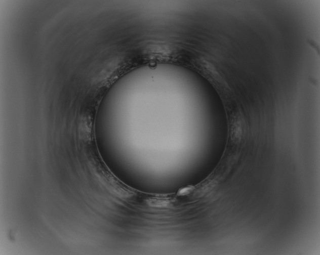 X0000101990661200807181149
