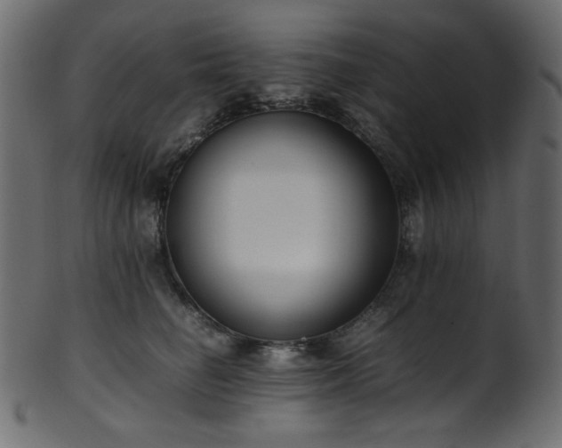 X0000101990662200807181149