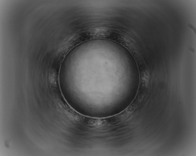 X0000101990663200807181149