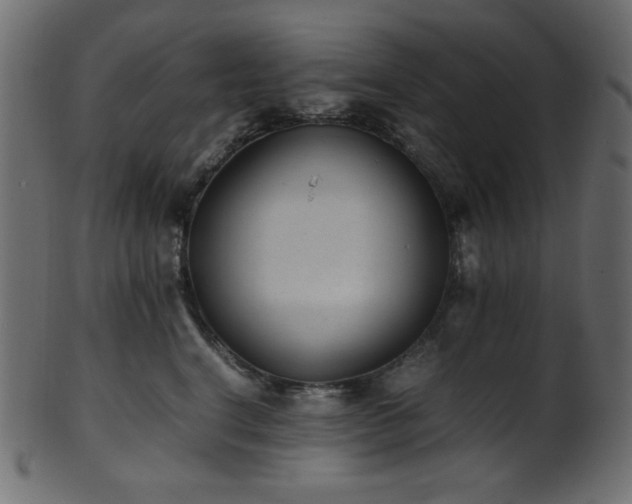 X0000101990664200807181149