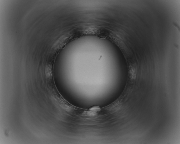 X0000101990665200807181149
