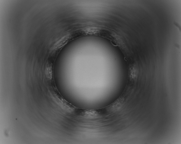 X0000101990666200807181149