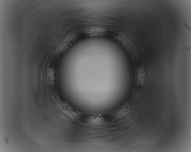 X0000101990667200807181149