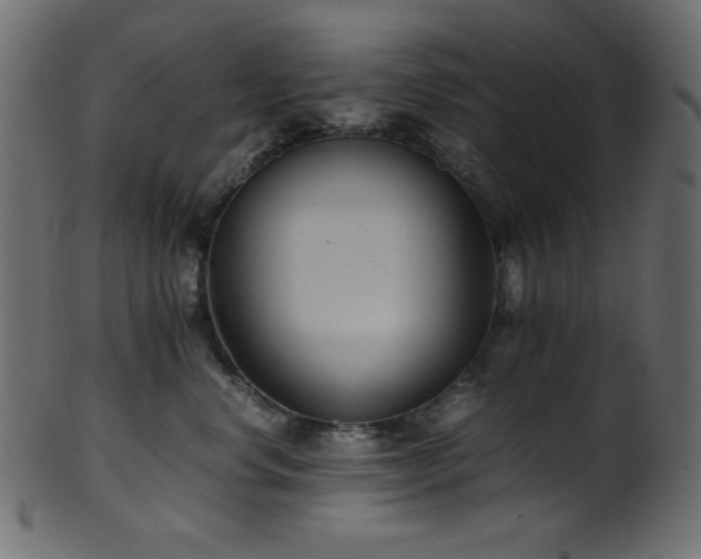 X0000101990668200807181149
