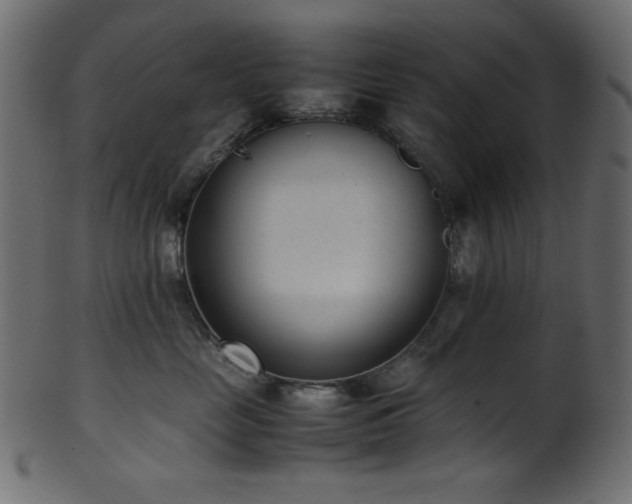 X0000101990669200807181149