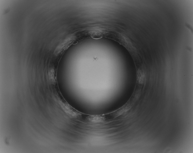 X0000101990670200807181149