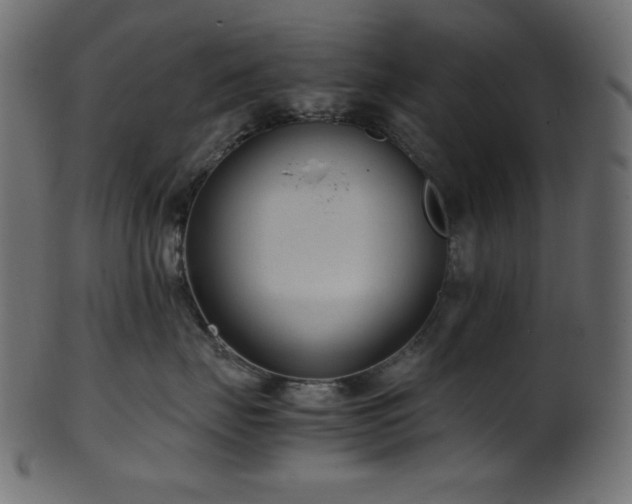 X0000101990671200807181149