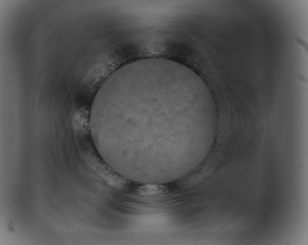 X0000101990672200807181149