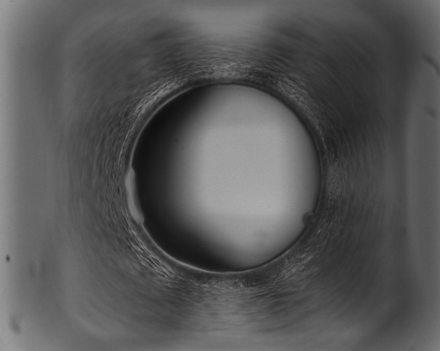 X0000101990673200807181148