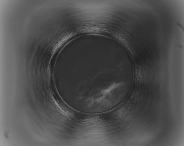X0000101990674200807181148