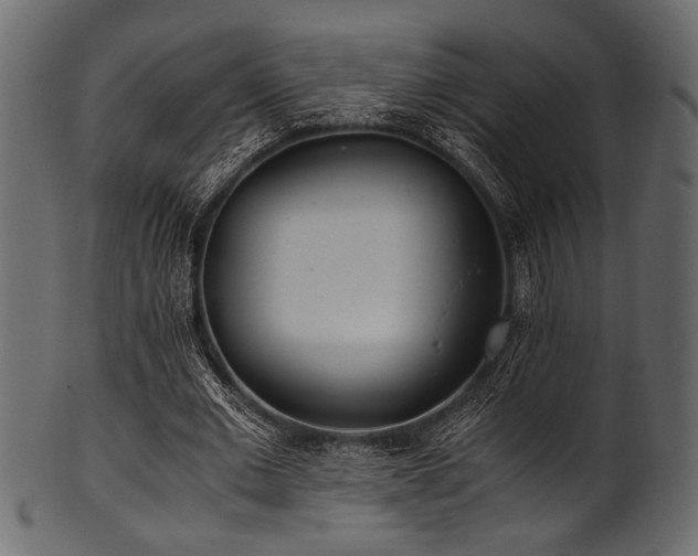 X0000101990677200807181148