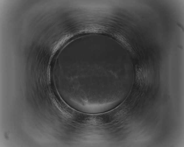 X0000101990678200807181148