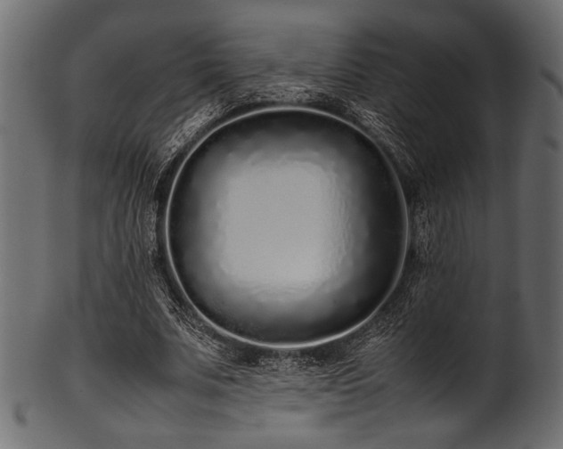 X0000101990679200807181148