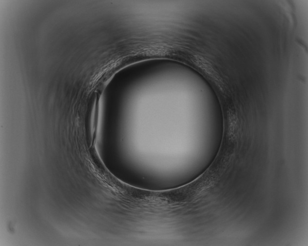 X0000101990681200807181148
