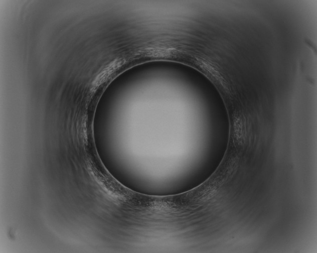 X0000101990682200807181148