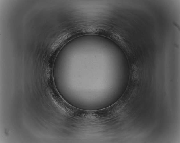 X0000101990683200807181148