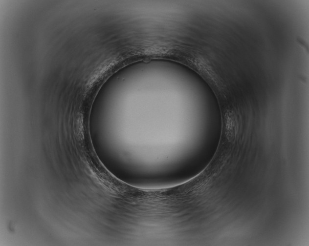 X0000101990684200807181148