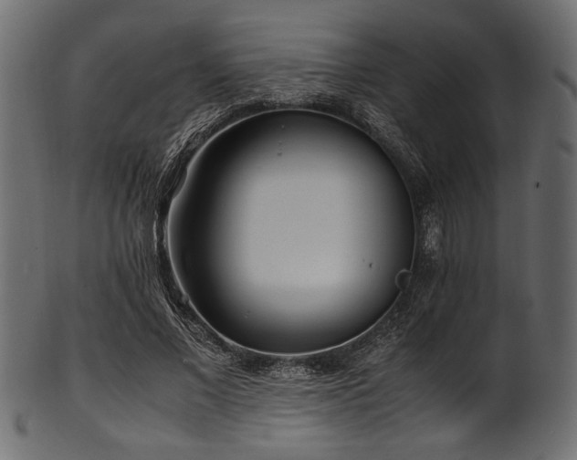 X0000101990685200807181148