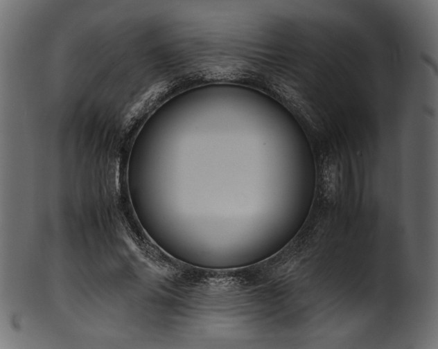 X0000101990686200807181148